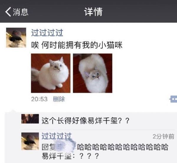 女粉晒宠物猫像易烊千玺，评论区纷纷放图，王俊凯也“中招”？