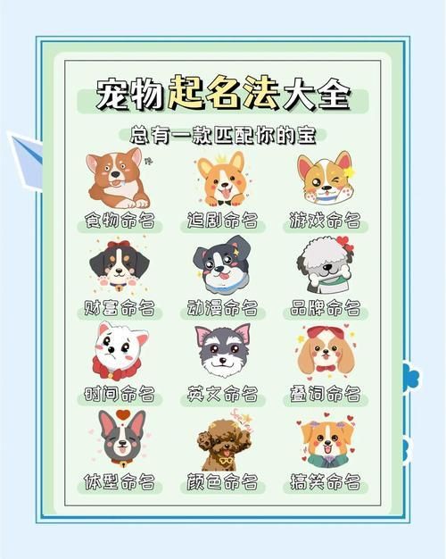 qq宠物名