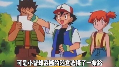 第65集｜宠物小精灵65