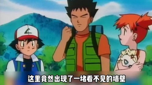 第63集｜宠物小精灵63  