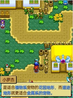 宠物王国4白金