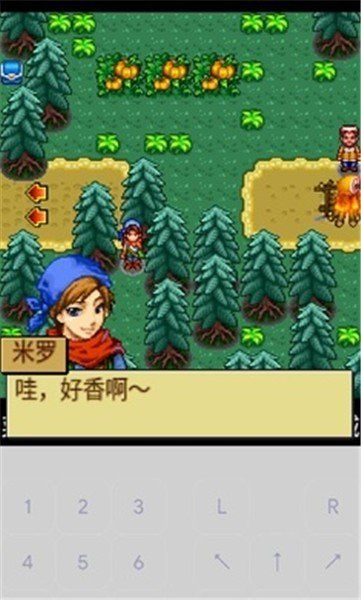 宠物王国4白金版