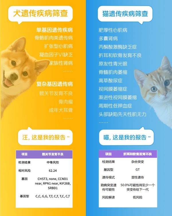 微信图片_2025-07-23_174750_930.jpg