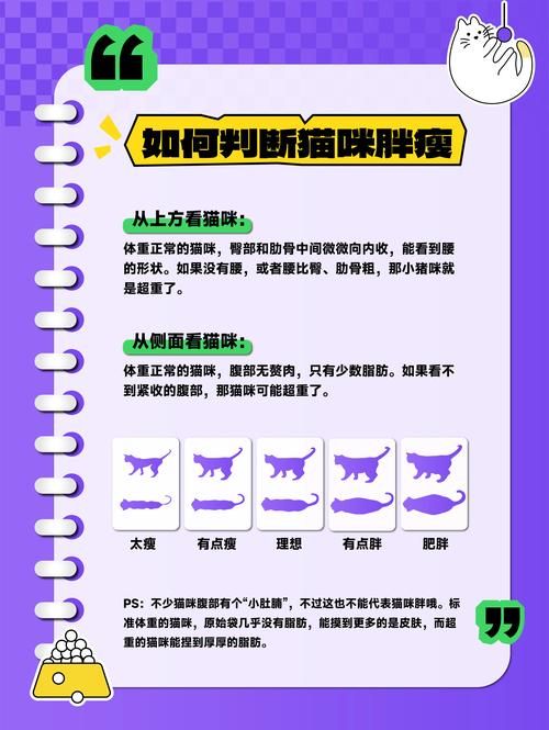 如何做宠物鉴定