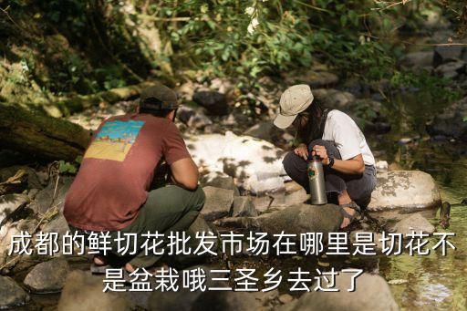 成都的鲜切花批发市场在哪里是切花不是盆栽哦三圣乡去过了
