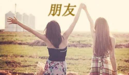 宠物朋友作文（通用42篇）