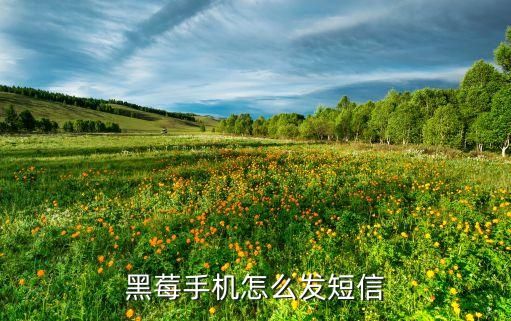 黑莓手机怎么发短信