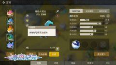 骑宠驰骋指南 《海岛纪元》萌新必读
