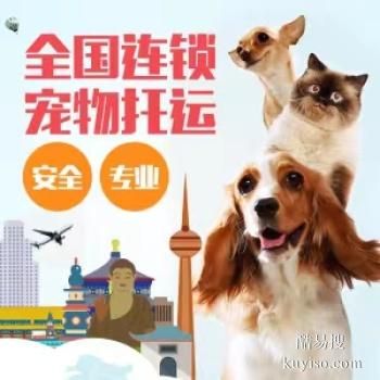 日照联萌宠物托运公司电话