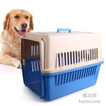 日照宠物托运 航空火车汽车宠物猫狗托运