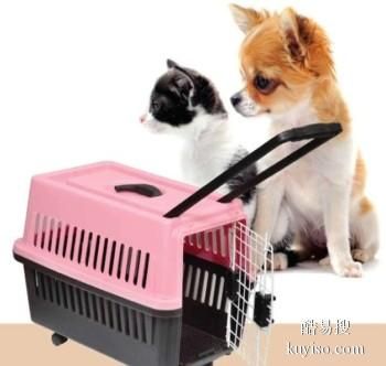 日照宠物托运 航空火车汽车宠物猫狗托运
