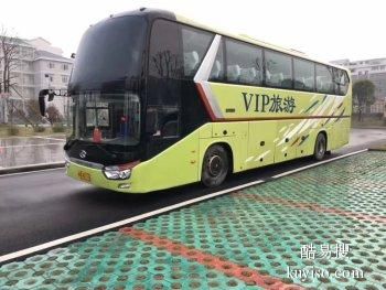 日照宠物托运价格
