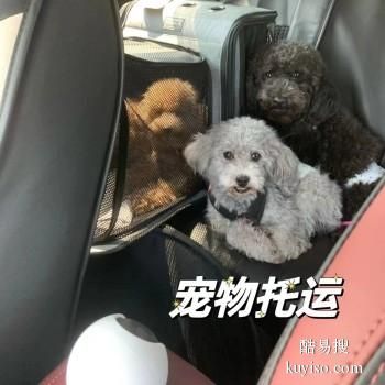 日照 宠物托运小猫小狗邮寄活体运输上门接送代办检疫证