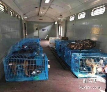 日照宠物托运公司2022年可发全国各宠物专车直达