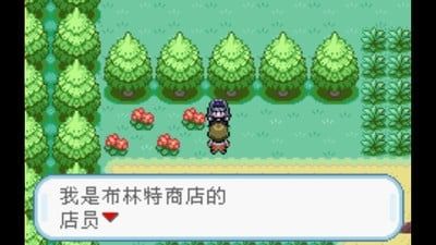 口袋妖怪火红386版图片2