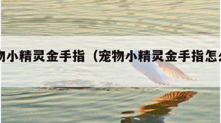 宠物小精灵金手指（宠物小精灵金手指怎么用）