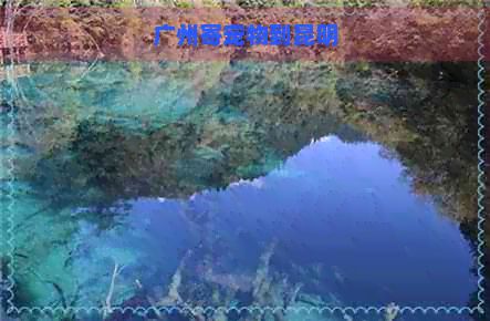 广州寄宠物到昆明