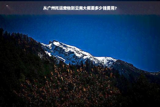 从广州托运宠物到云南大概要多少钱费用？