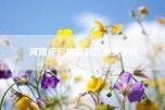 河南托运宠物到广州多少钱