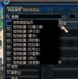 dnf各种宠物介绍 包含绝版的