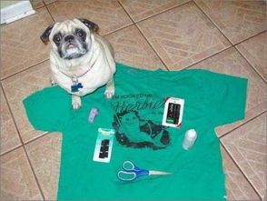 狗狗衣服怎么做,教你四种制作狗狗衣服最简单的方法