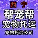 西宁宠物托运公司找青海西宁帮宠帮宠物托运公司