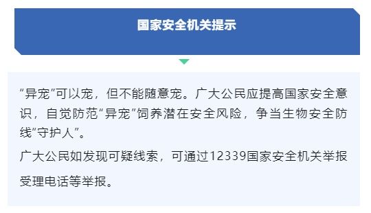 我国超1700万人饲养“异宠”，国安部：警惕潜藏安全风险