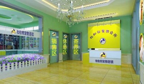 成都开宠物店,月成本揭秘!