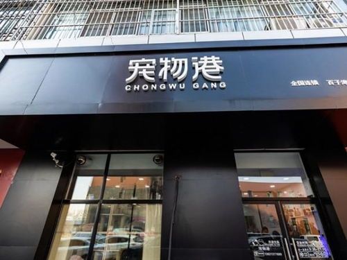 成都开宠物店,月成本揭秘!
