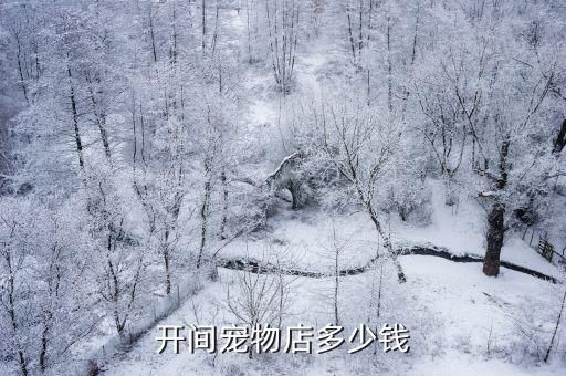 开间宠物店多少钱