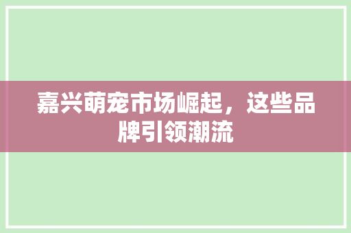 嘉兴萌宠市场崛起，这些品牌引领潮流