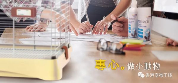 香港宠物物流公司