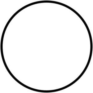 香港宠物物流公司