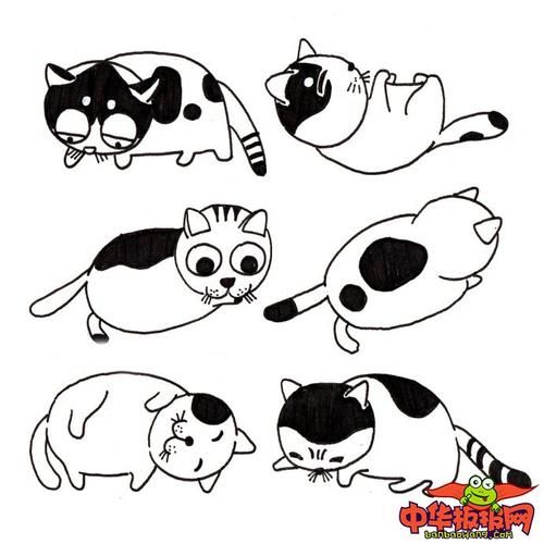 简笔画图片大全猫已经成为继狗狗之后的又一全世界家庭广泛流行的宠物