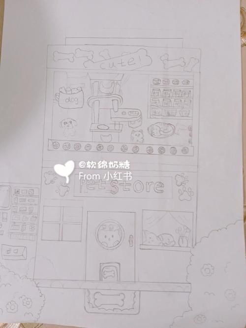 宠物店简笔画