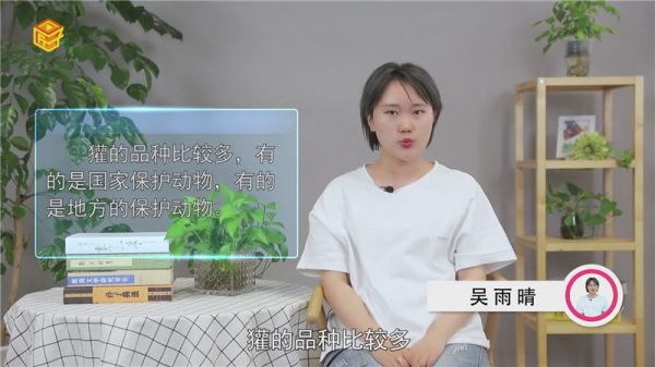 獾是保护动物吗