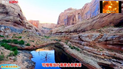 叶倩文粤语版《秋去秋来》唱得很有自己的味道！