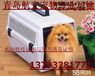 青岛宠物空运地址青岛机场物流哪家服务比较好