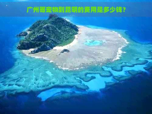广州寄宠物到昆明的费用是多少钱？
