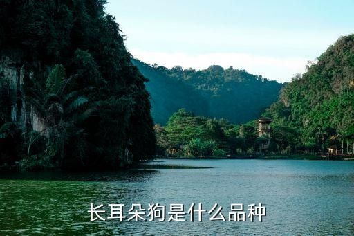 长耳朵狗是什么品种