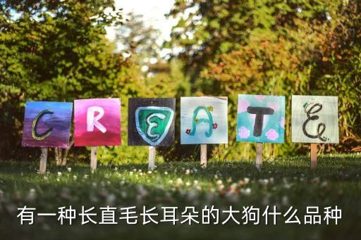 有一种长直毛长耳朵的大狗什么品种