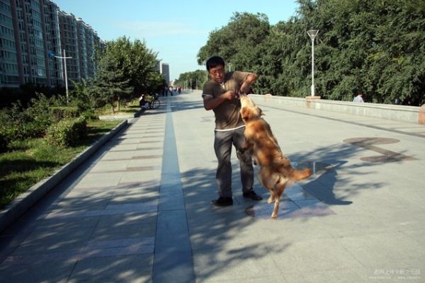 家狗咬人会得狂犬病吗