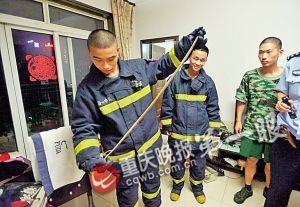 消防队员抓住的蛇近一米长