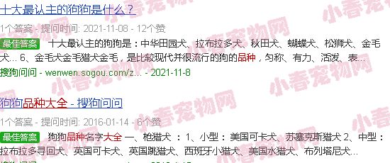 犬类品种大全图片 宠物狗
