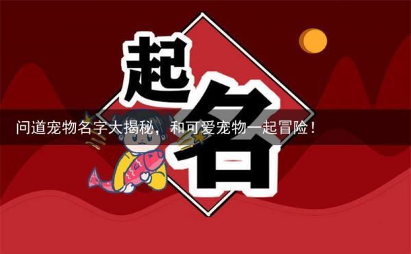 问道宠物名字大揭秘，和可爱宠物一起冒险！