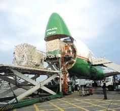 宠物国际空运费用多少?价格波动大不大?