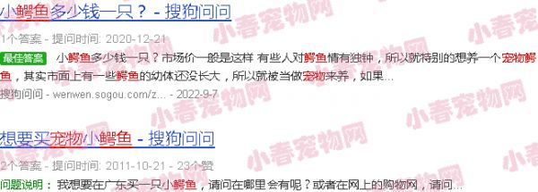 网购鳄鱼宠物