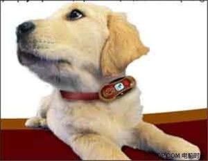 猫咪GPS哪个牌子好用?追踪宠物定位哪家强?
