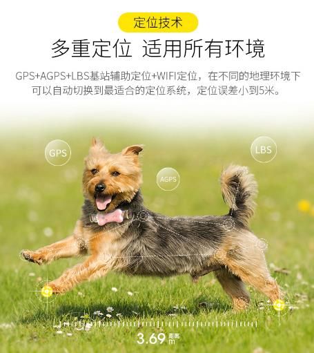 南阳GPS定位宠物定位器