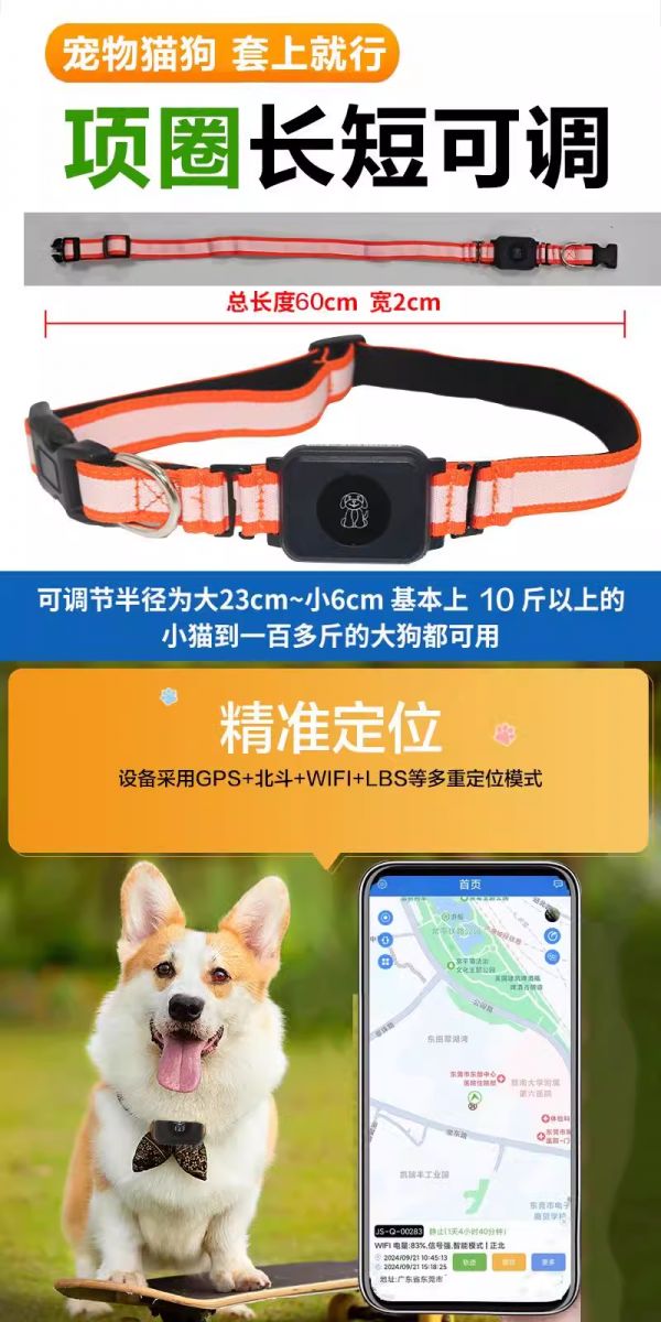 宠物3.png